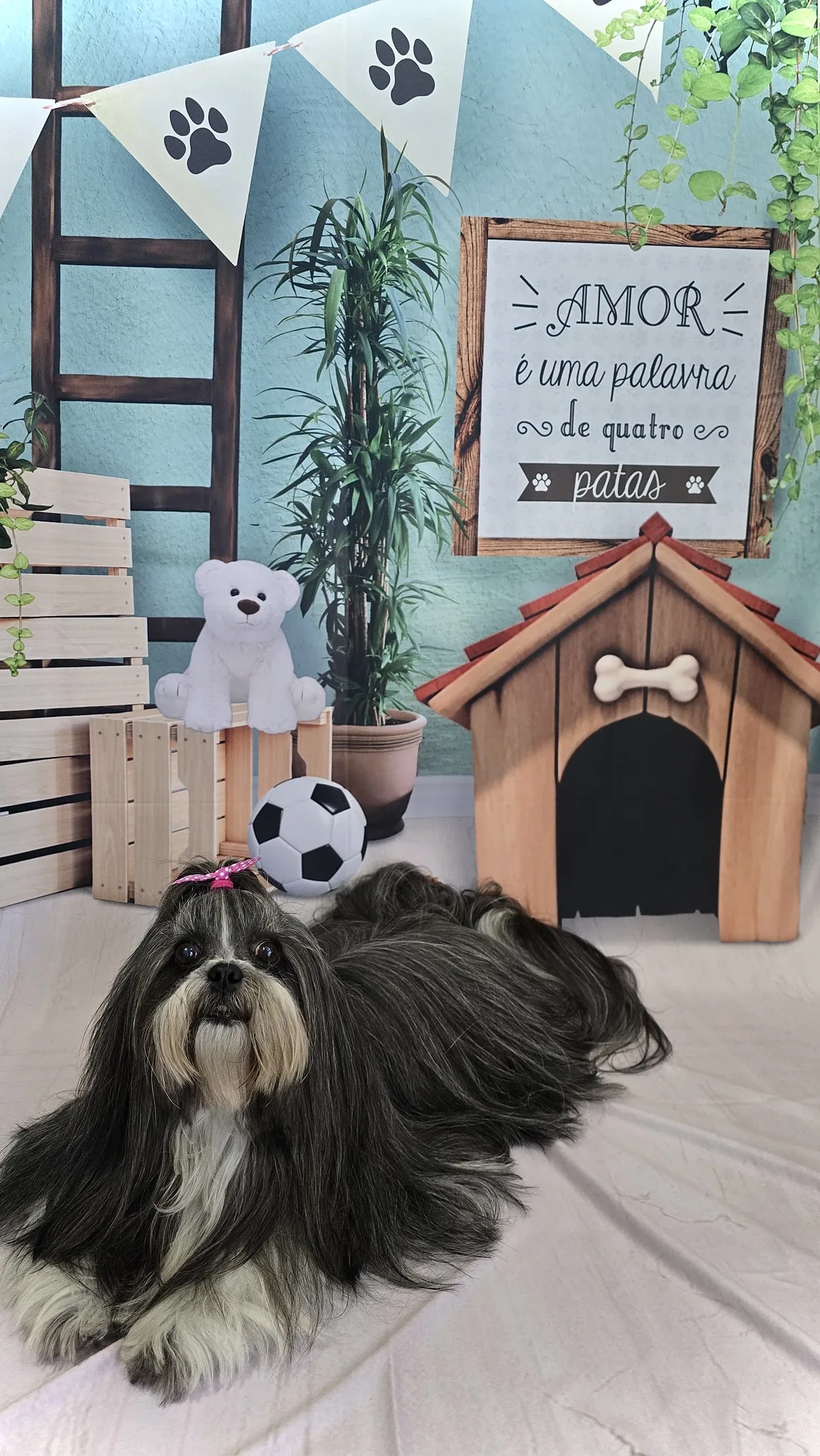 Pet com penteado exclusivo e laço rosa após tratamento completo